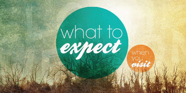 what-to-expect-web-site-01