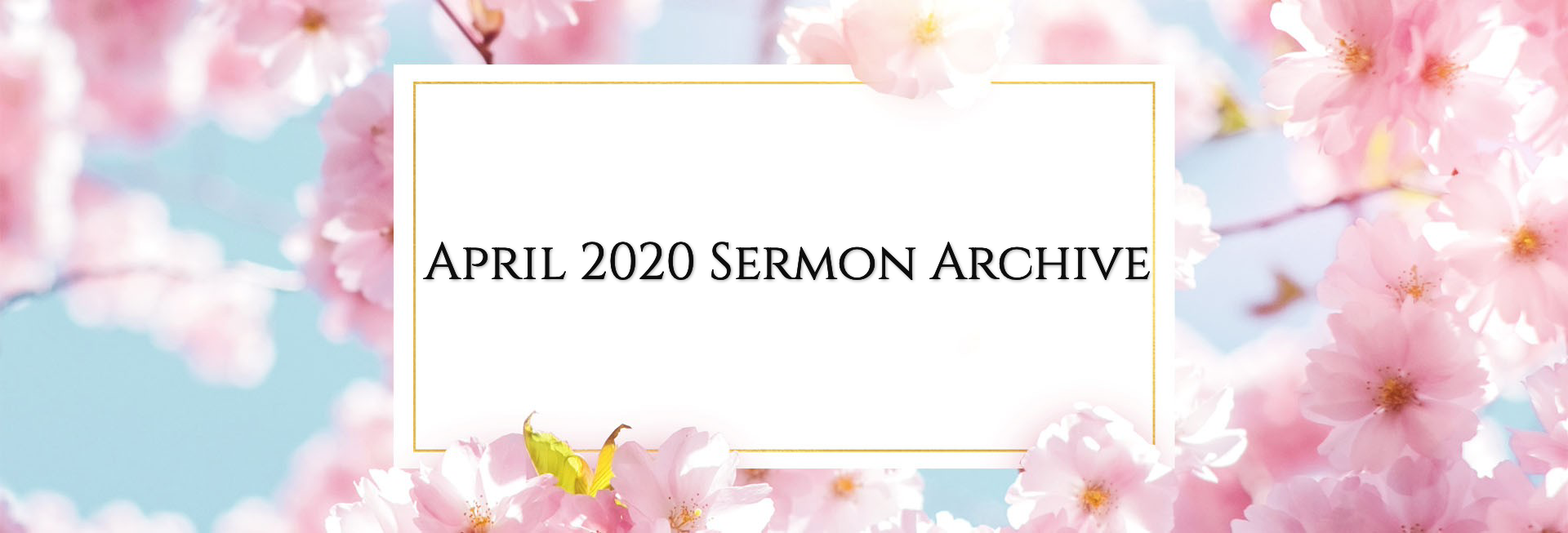 Mother's Day Cherry Blossom Church Website Banner