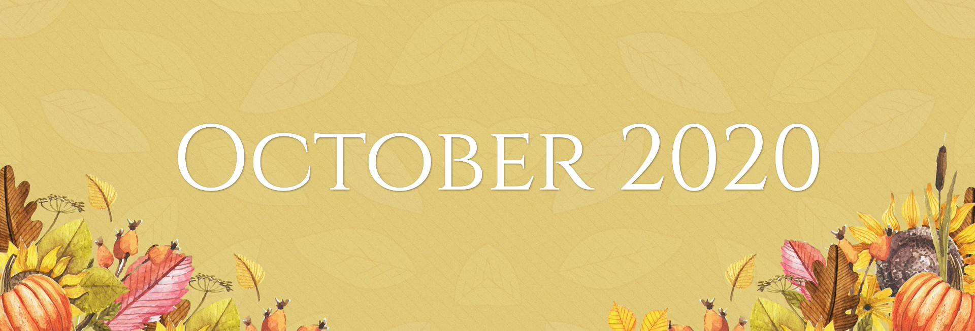 Harvest Party Church Website Banner