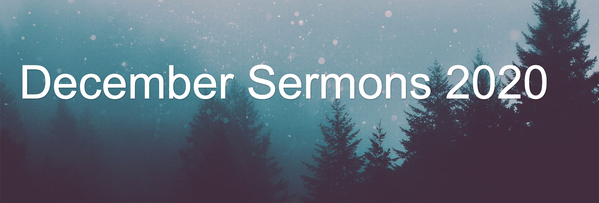 Christian Merry Christmas Website Banner